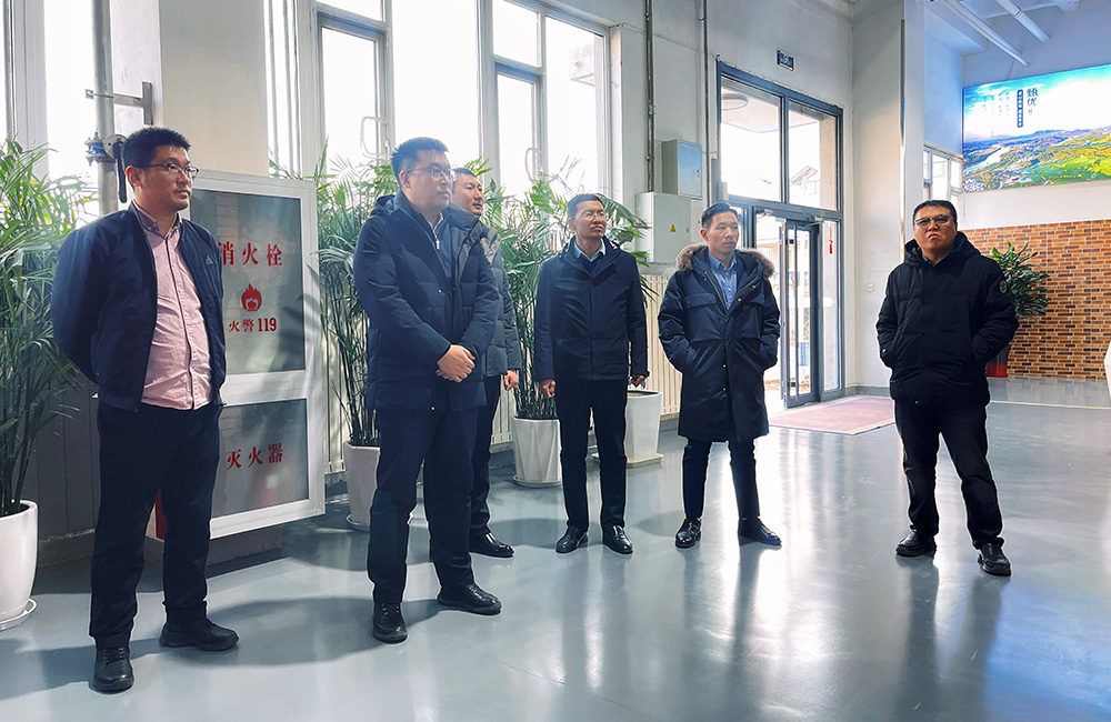 1767746164788983.jpg 1.jpg